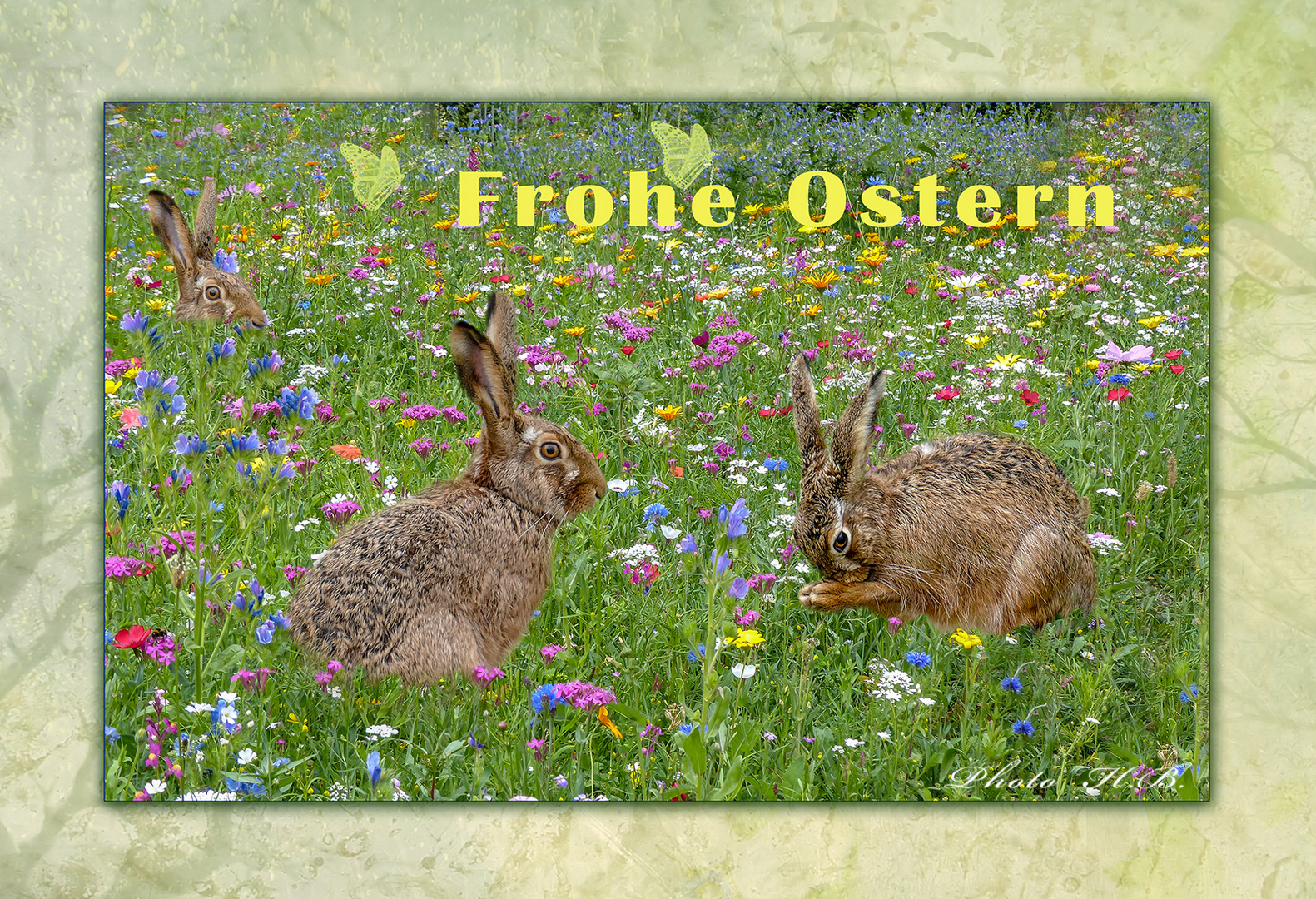 ZUM  OSTERFEST.....