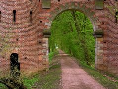 Zum Park hinaus - Gartenreichbummel 41.1