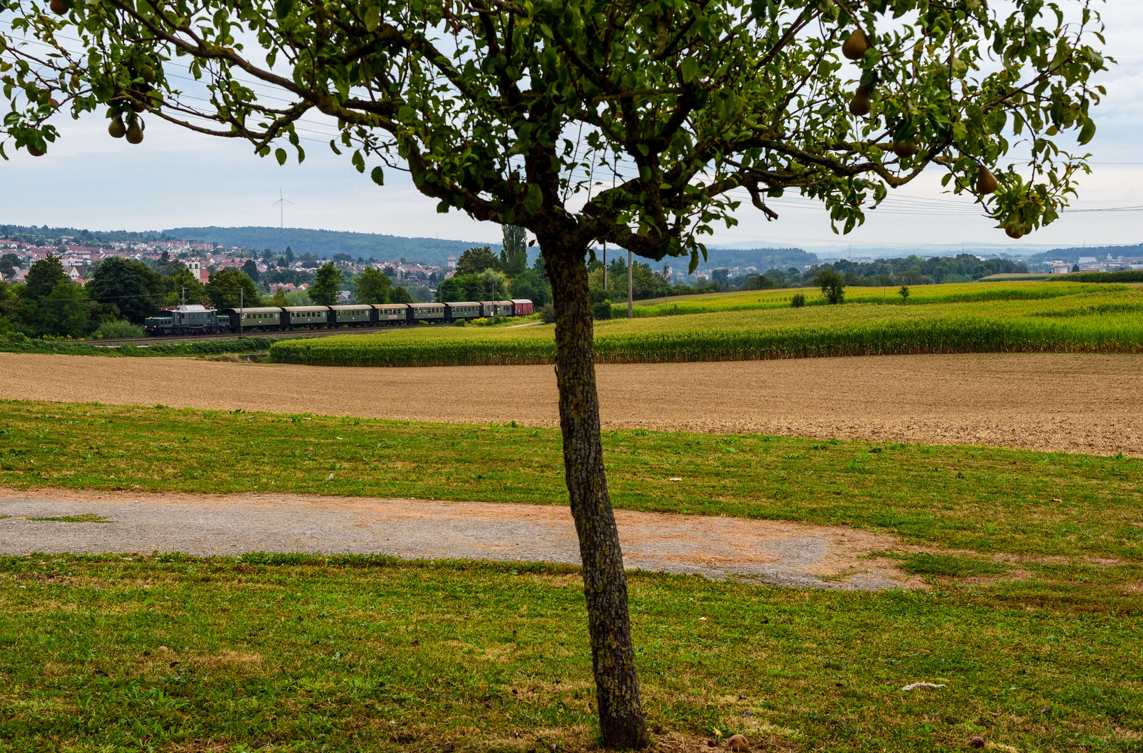 Zum Pferdemarkt nach Bietigheim 