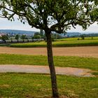 Zum Pferdemarkt nach Bietigheim 