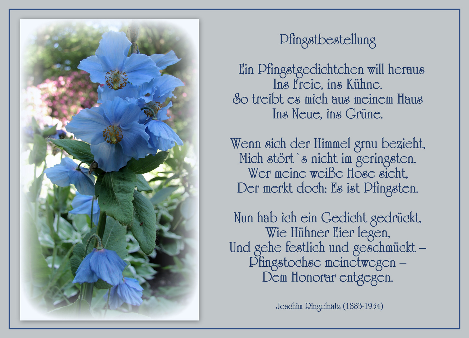 Zum Pfingstfest (die Zweite )... Foto & Bild karten und kalender, karten, spezial Bilder auf Zum Pfingstfest (die Zweite )... Foto & Bild karten und kalender, karten, spezial Bilder auf