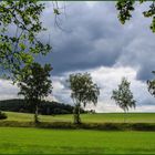 ZUM RADFAHREN GEEIGNET