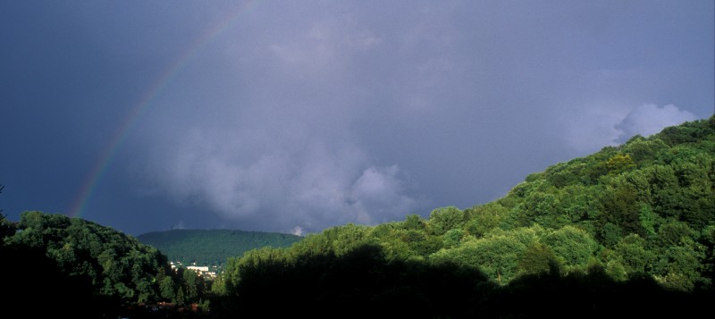 Zum Regenbogen gehören immer zwei