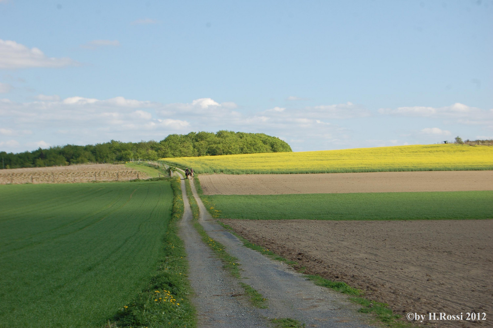 zum Reiten ein Paradies