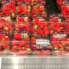 Zum Saisonstart: Heimische Erdbeeren teurer