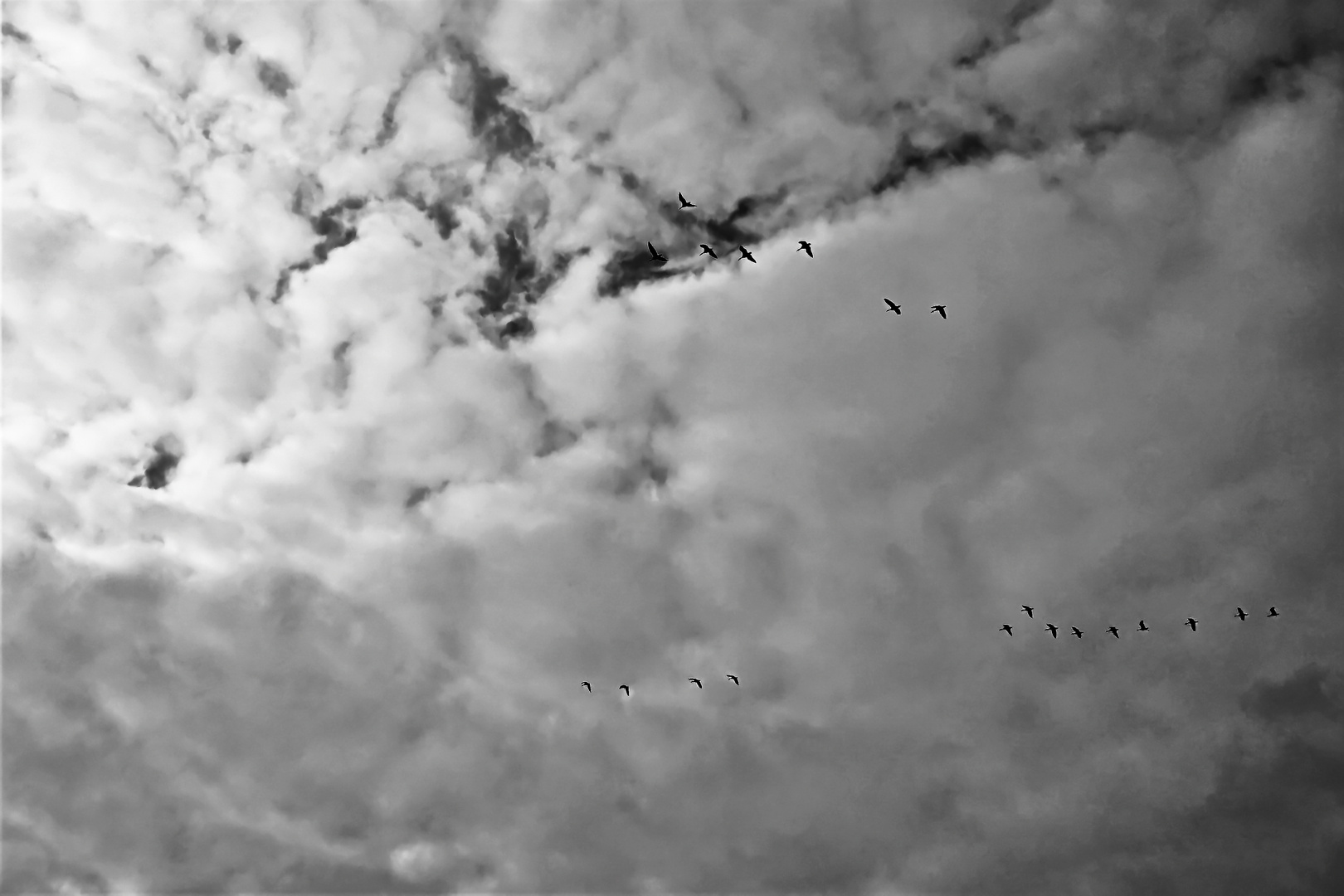 Zum Schwarz-weißen Freitag - Herbstwolken und ziehende Vögel