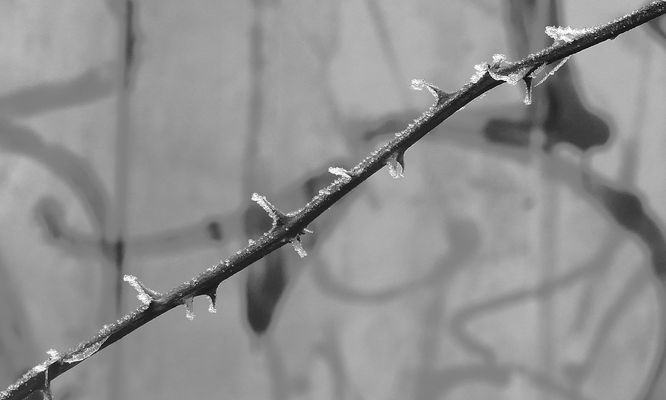 Zum Schwarzweissen Freitag: Ein Foto mit vielen möglichen Namen - Zum Nachdenken