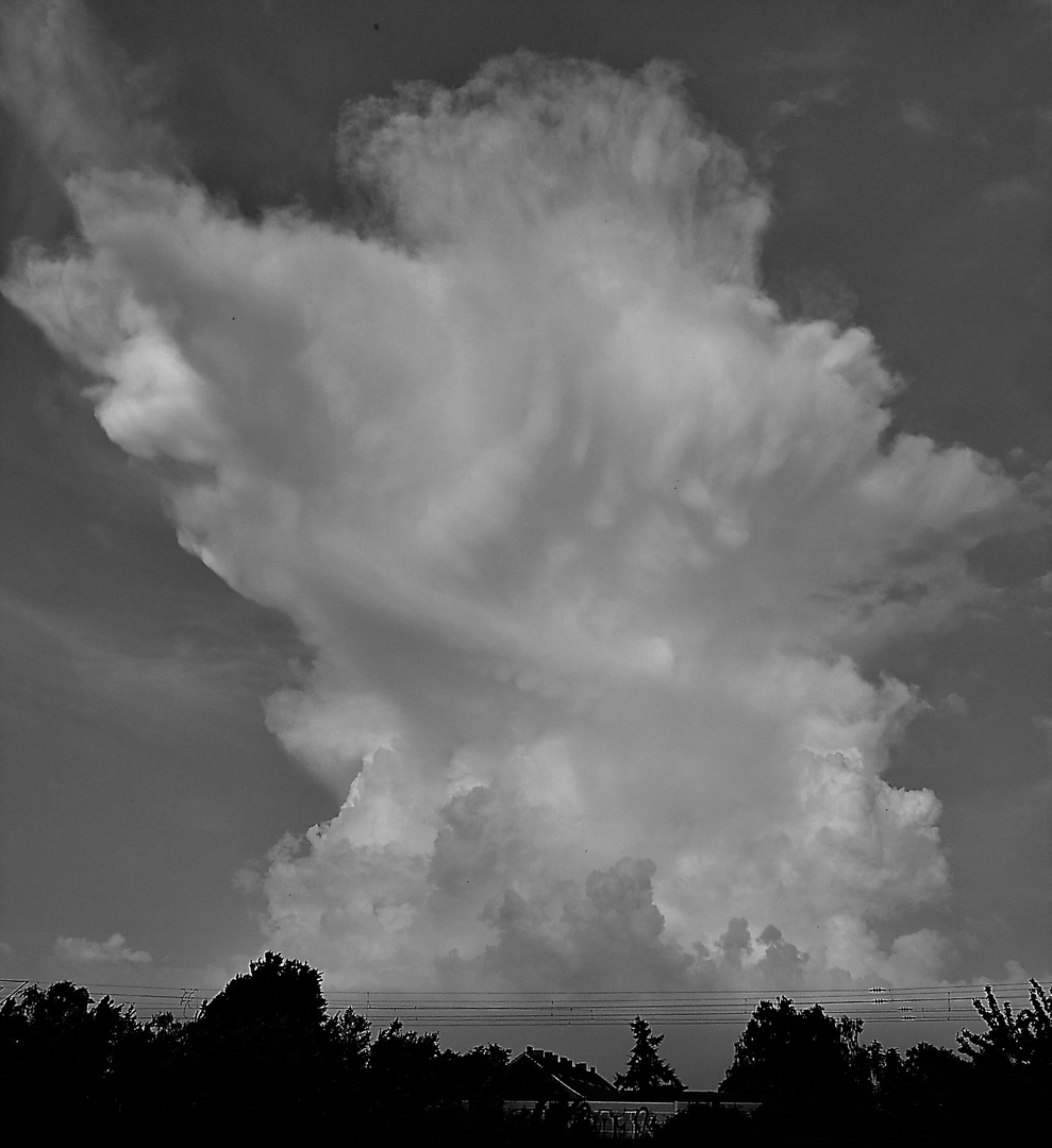 Zum schwarzweißen Freitag: isolierter Cumulonimbus - ein kleinräumiger Gewitterturm