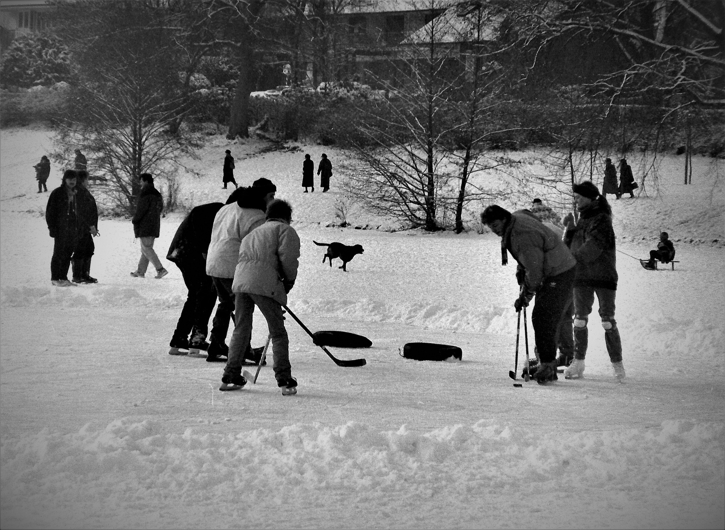 Zum Schwarzweißen Freitag - Zugefrorener Aasee in Münster im Jahr 1996