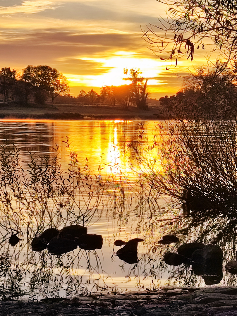 Zum Sonnenaufgang an der Elbe / Dresden 