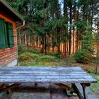 Zum Sonnenaufgang an der Rotsteinhütte in der Sächsischen Schweizc