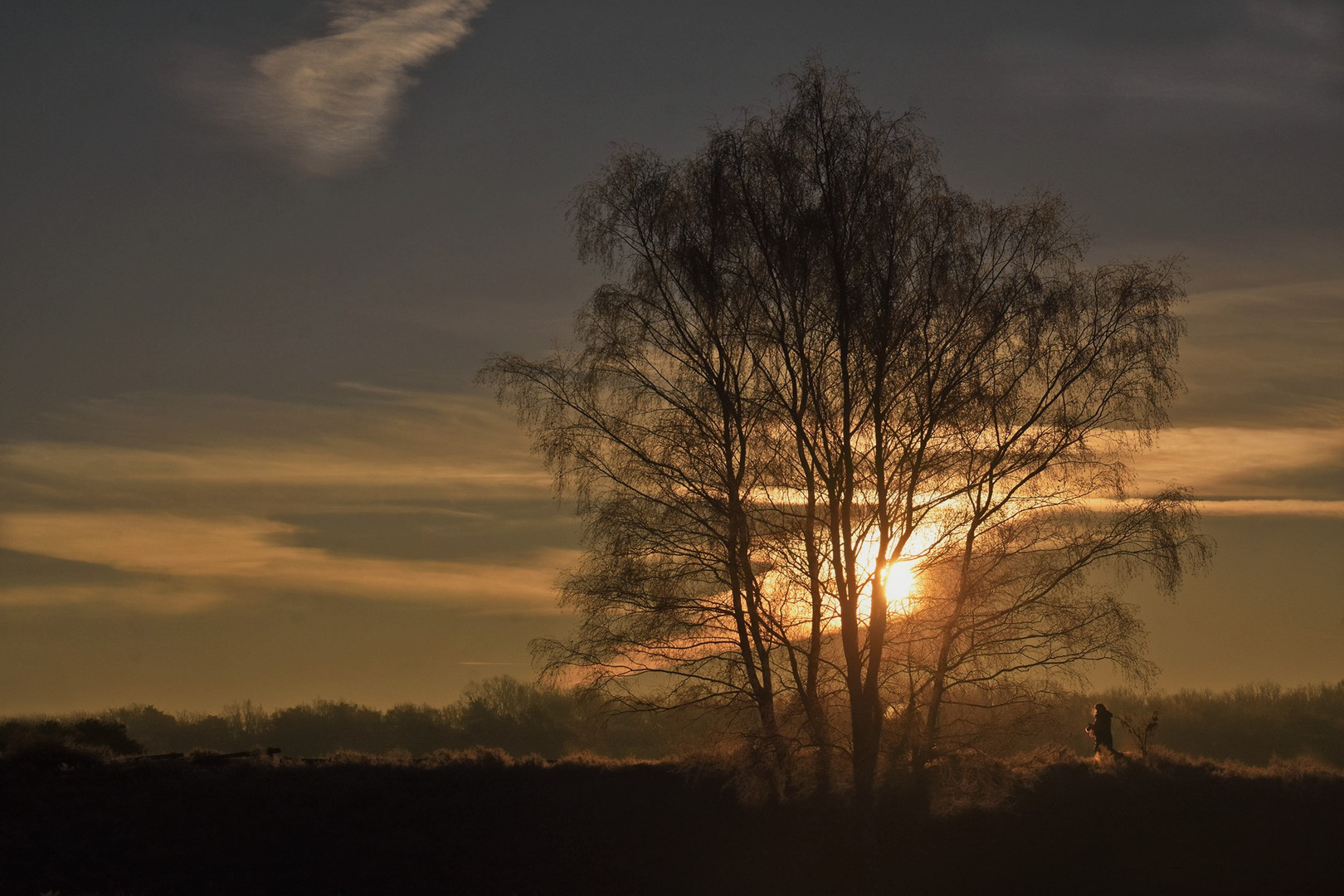 Zum Sonnenaufgang in der Westruper Heide....