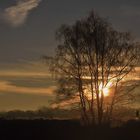 Zum Sonnenaufgang in der Westruper Heide....
