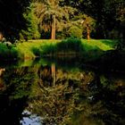 Zum Sonnenuntergang im Schlosspark Herne