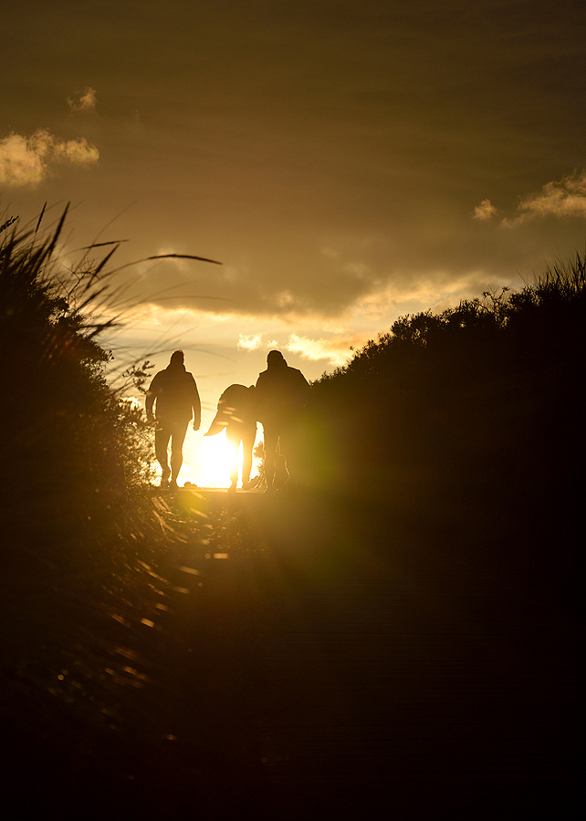 Zum Sonnenuntergang in die Dünen