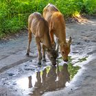 zum Spiegeltag 22.06. 2021