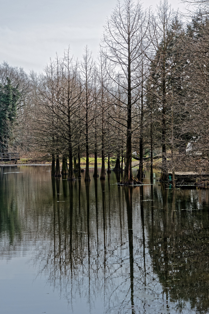 zum Spiegeltag 3. April 2018