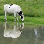 Zum Spiegeltag…. 