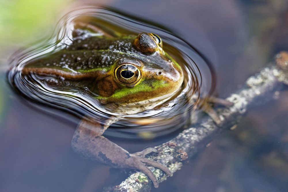 Zum Spiegeltag am 17.05.2021