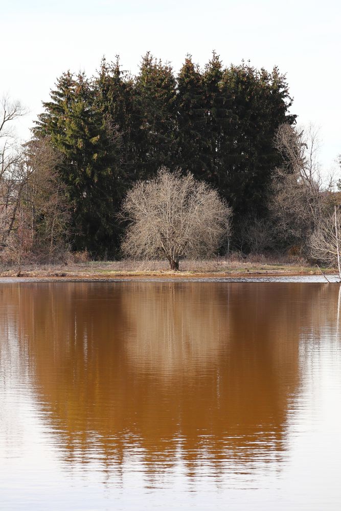 Zum Spiegeltag am 19.03.2019