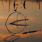 Spiegelungen