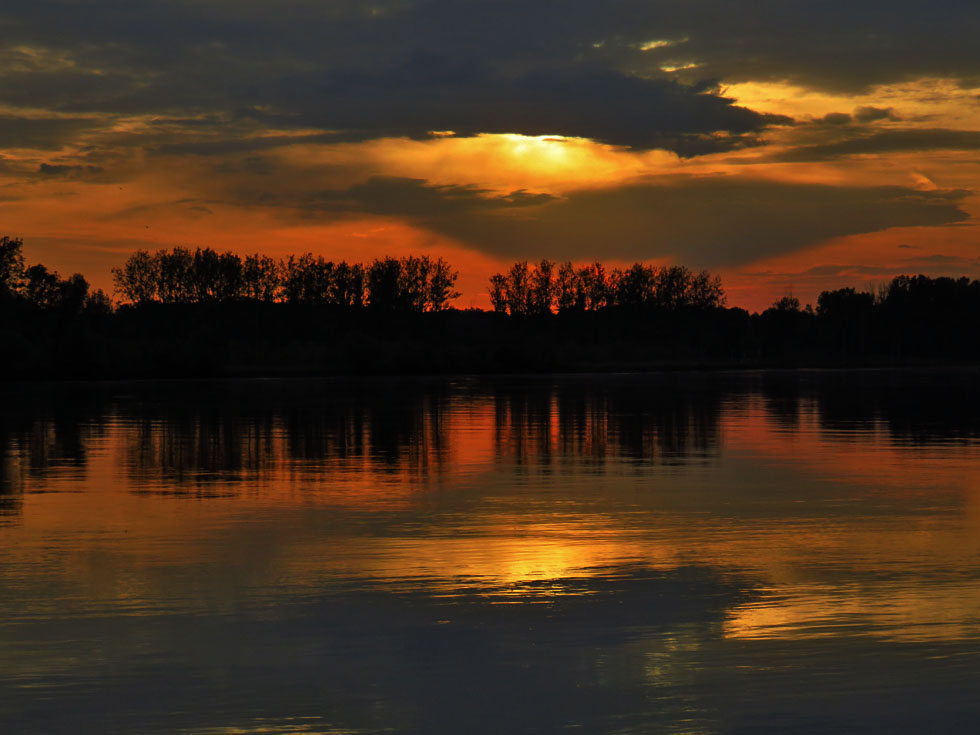 Zum Spiegeltag  - an der Donau