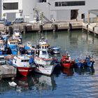 Zum Spiegeltag: Boote im Hafen von Funchal