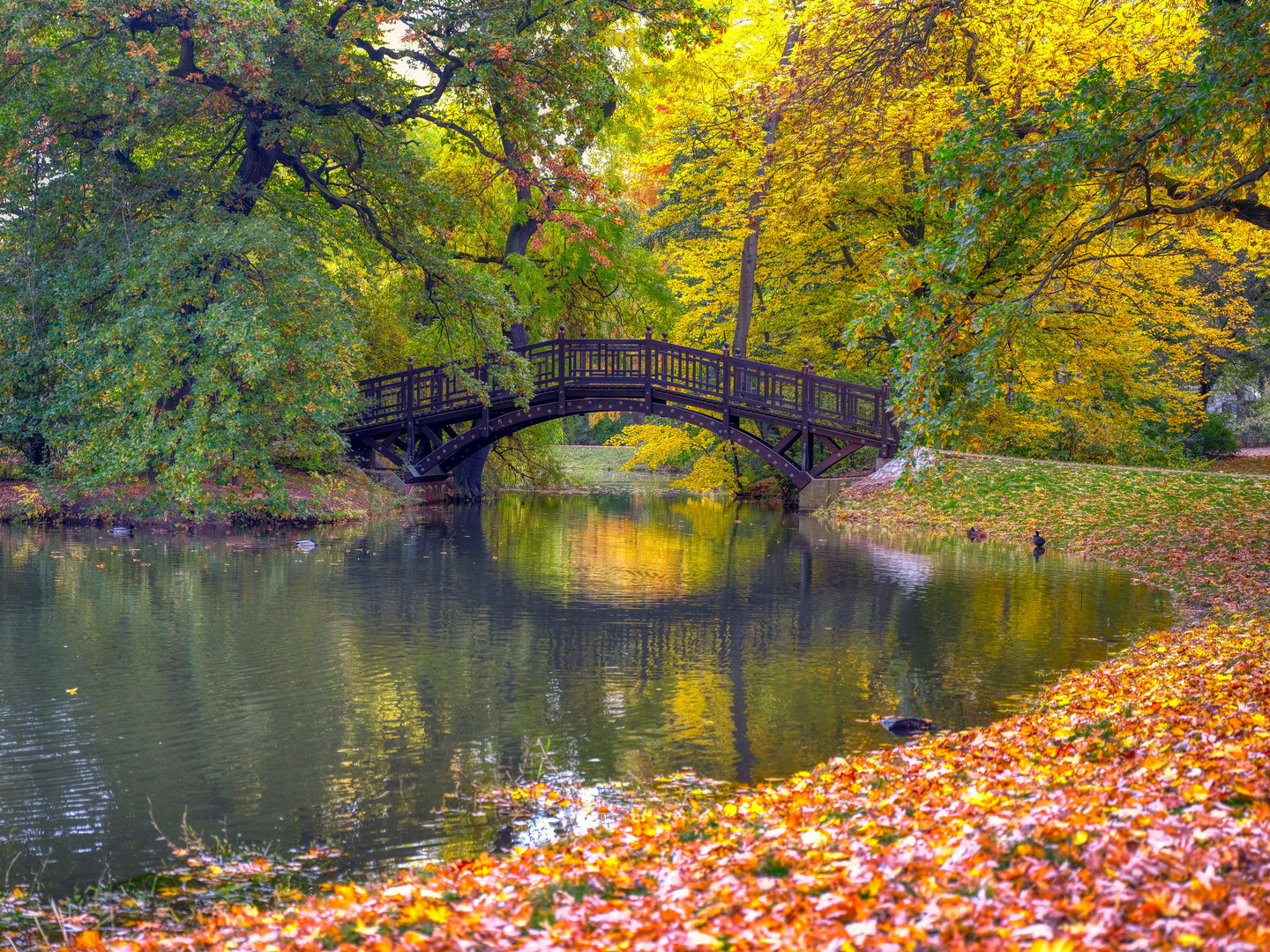 Zum Spiegeltag - die Brücke