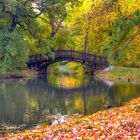 Zum Spiegeltag - die Brücke