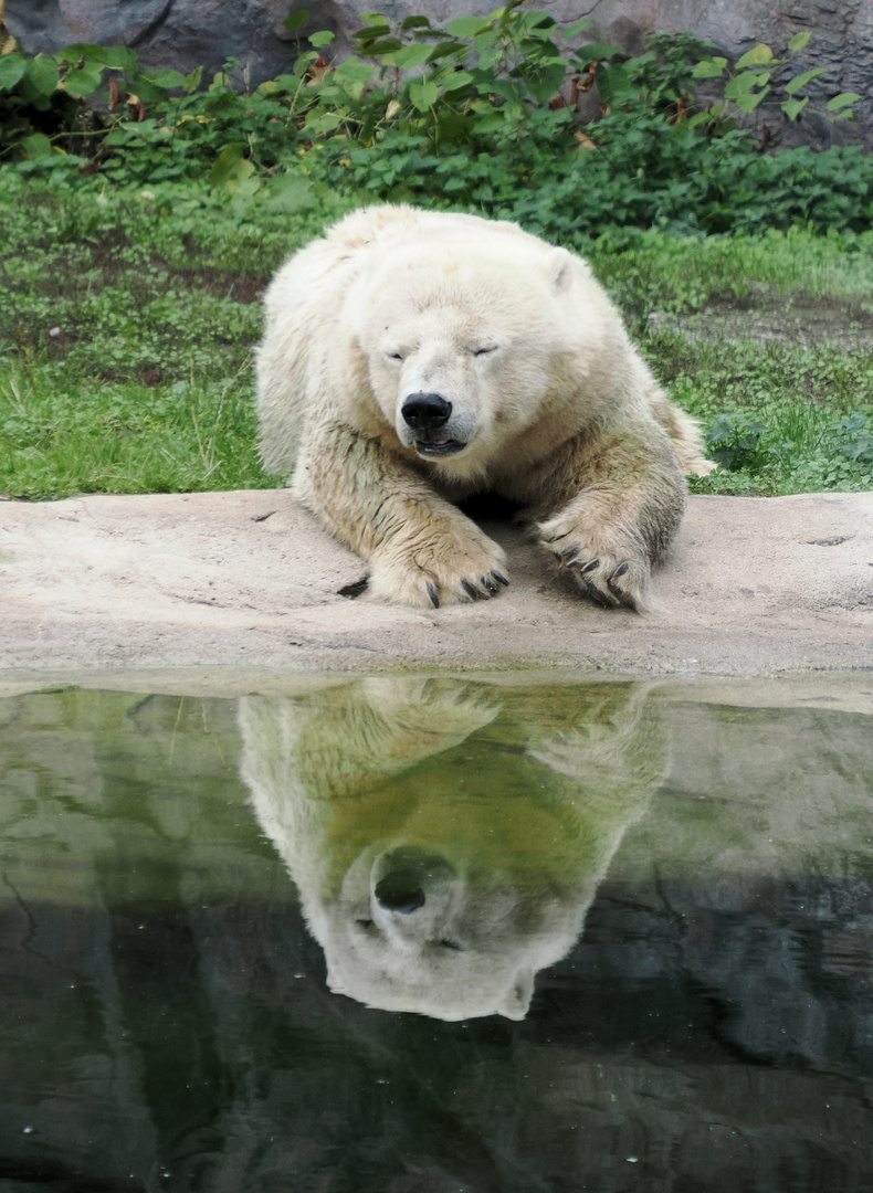 Zum Spiegeltag…. 