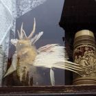 Zum Spiegeltag ein eingesperrter Wolpertinger....