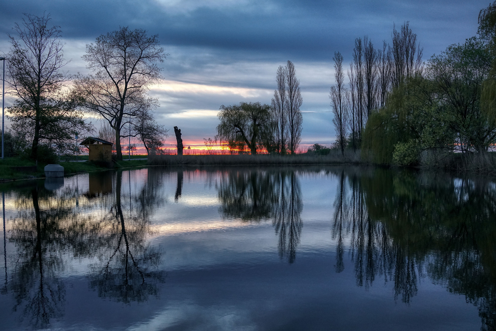 Zum Spiegeltag: Früh morgens am Dorfteich