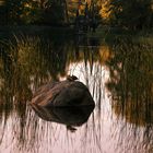 Zum Spiegeltag im Abendlicht