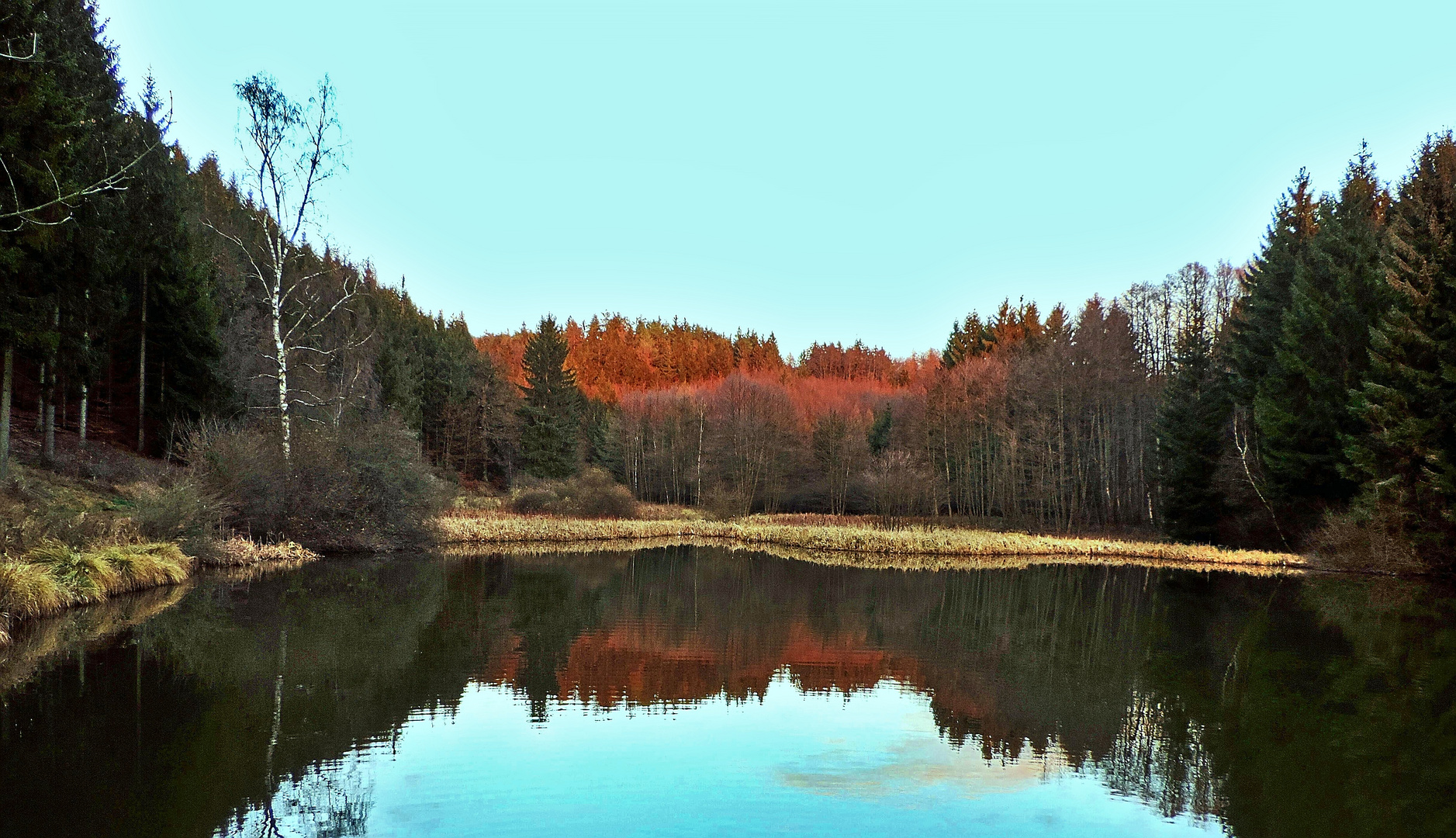 Zum Spiegeltag im Bärenbachtal