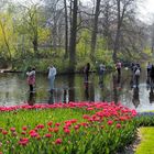 Zum Spiegeltag... letztes Jahr beim Keukenhof...