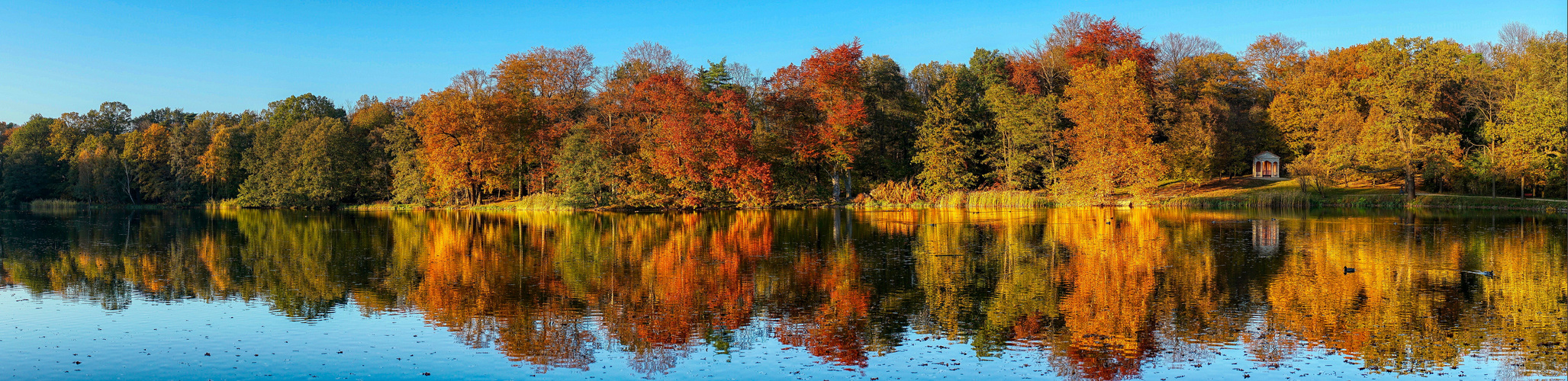 Zum Spiegeltag: Panorama in Gold