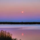 Zum Spiegeltag - "Supermond" am See