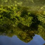 zum Spiegeltag unterwegs an der Stever