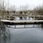 zum Spiegeltag vom Samstag - Start bei den Rieselfeldern in Münster