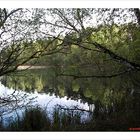 zum SPIEGELTAG:Brandenburgische Seen-2-am Großen Wukensee