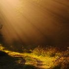 Zum Start in den Oktober.....