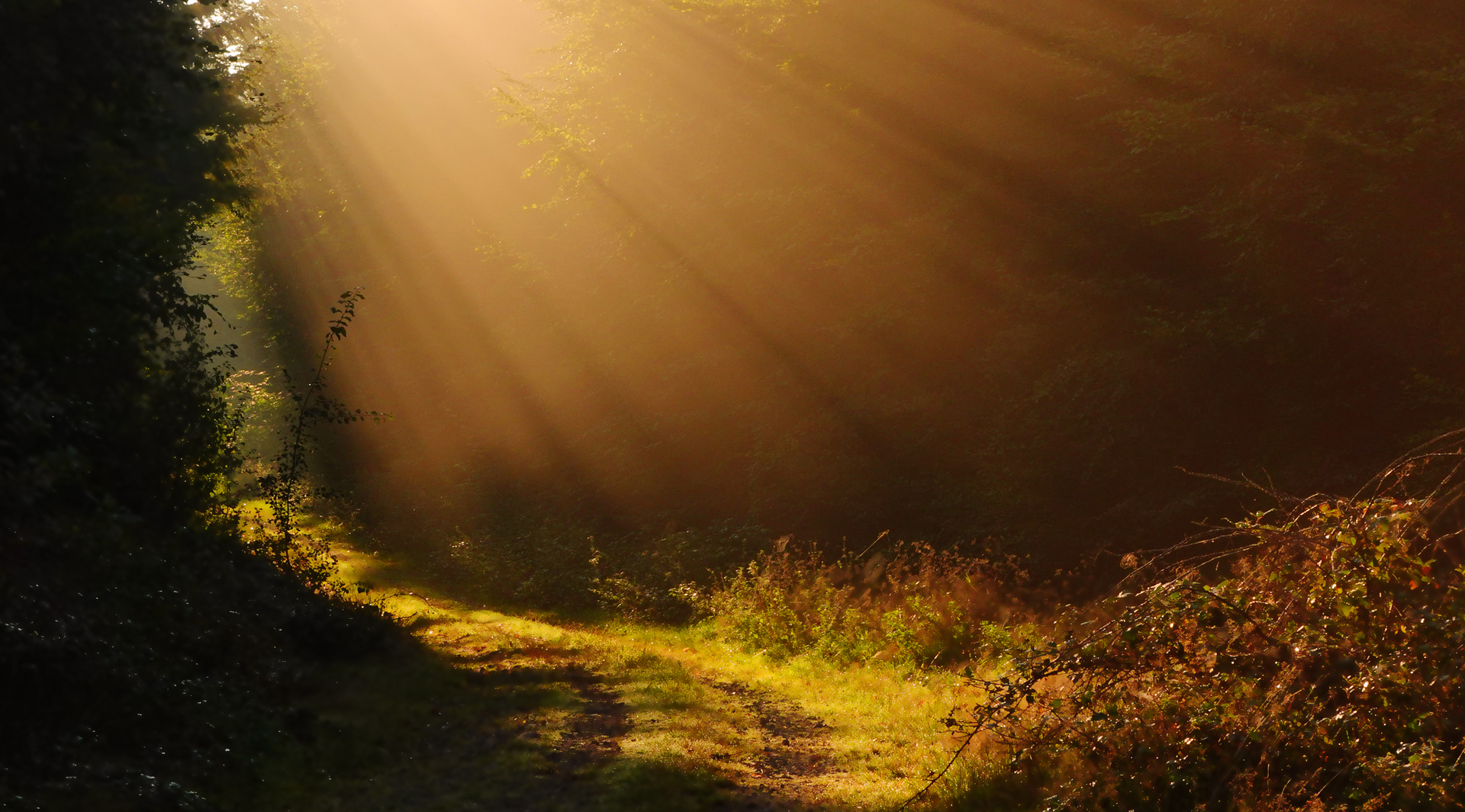 Zum Start in den Oktober.....