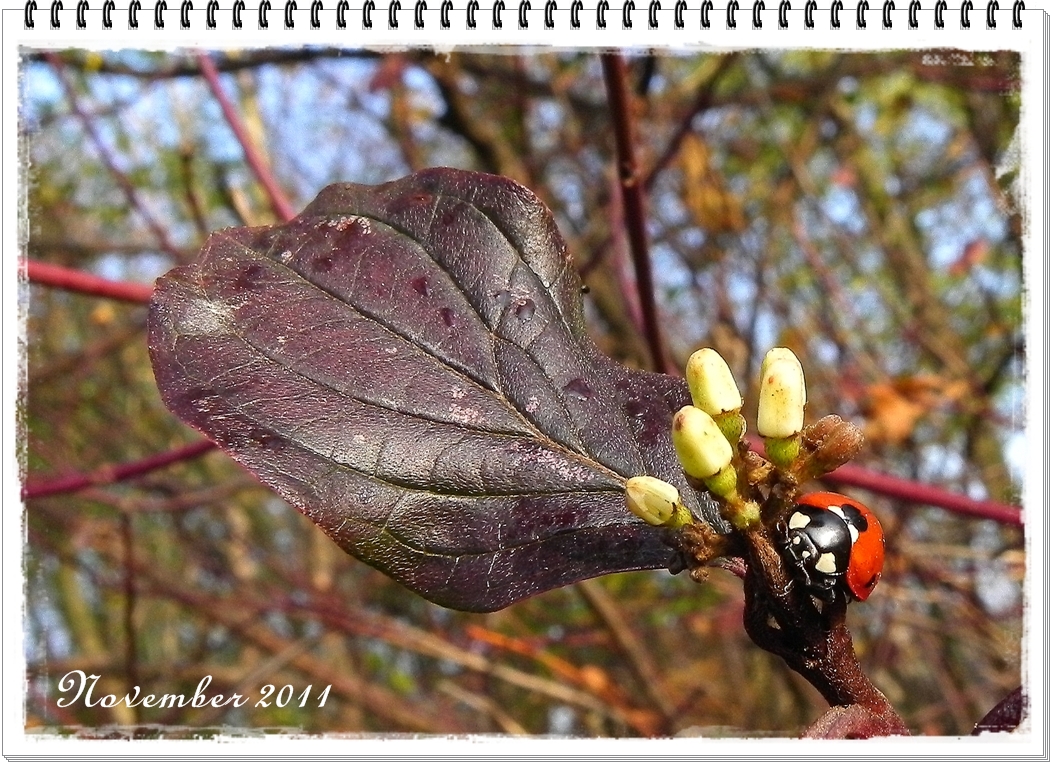 Zum Start ins Wochenende