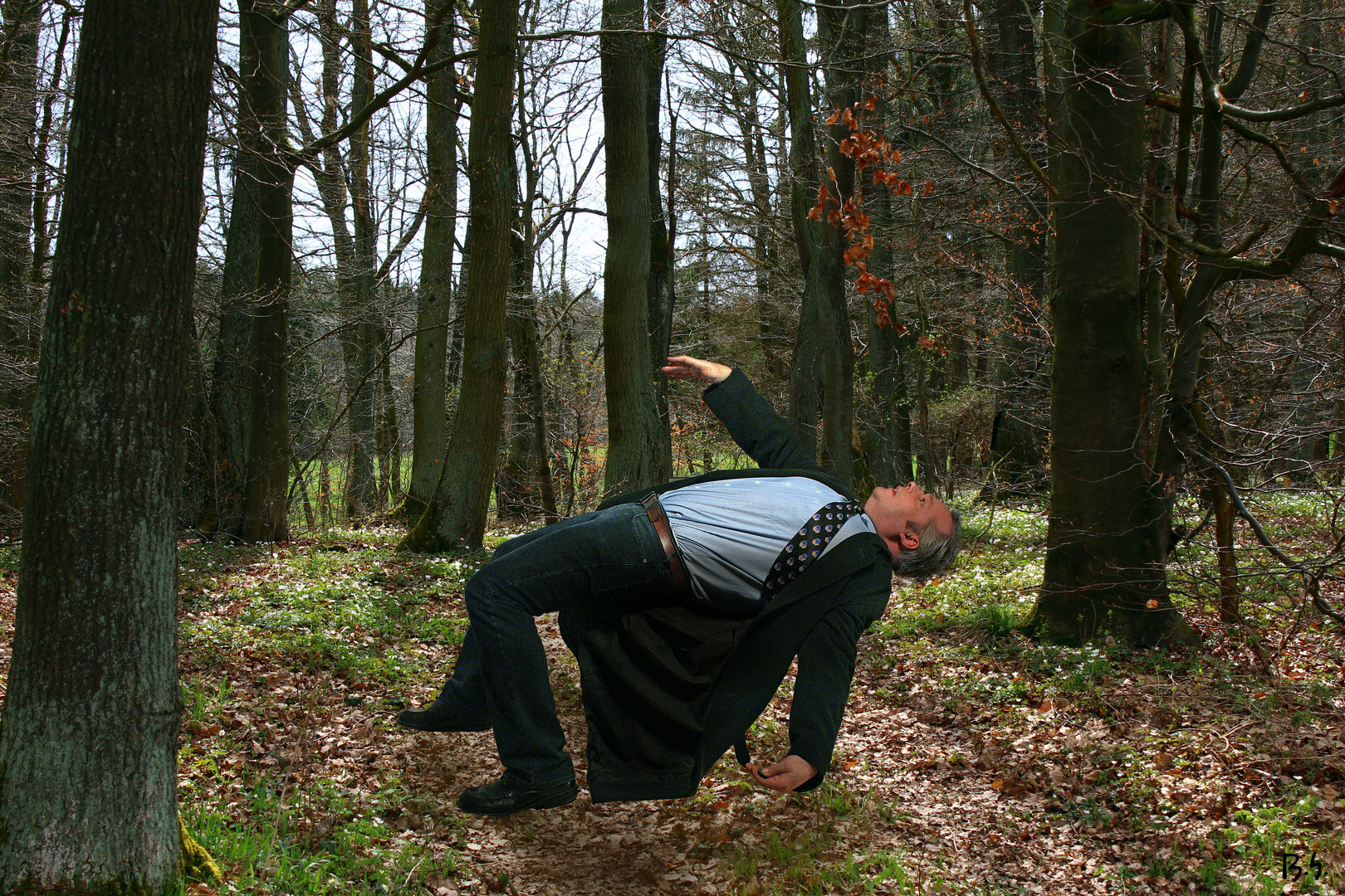 Zum Sterben in den Wald