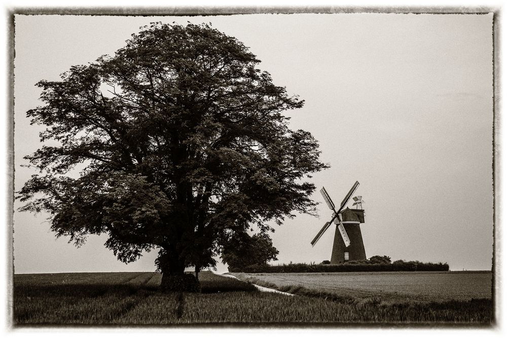 Zum Tag der Mühlen; Mühle in Breberen bei Gangelt_2