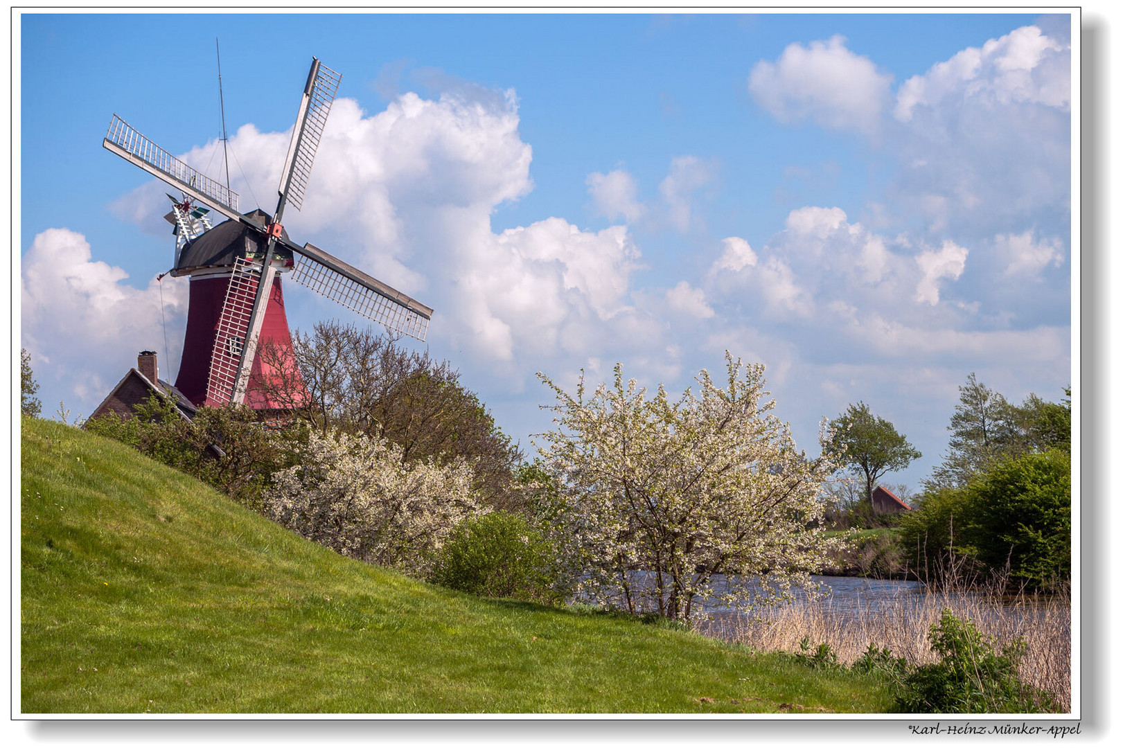 Zum Tag der Mühlen; Mühle in Greetsiel