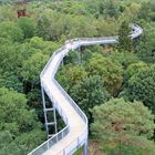 Zum Tag des Waldes: Baumkronenweg in Beelitz