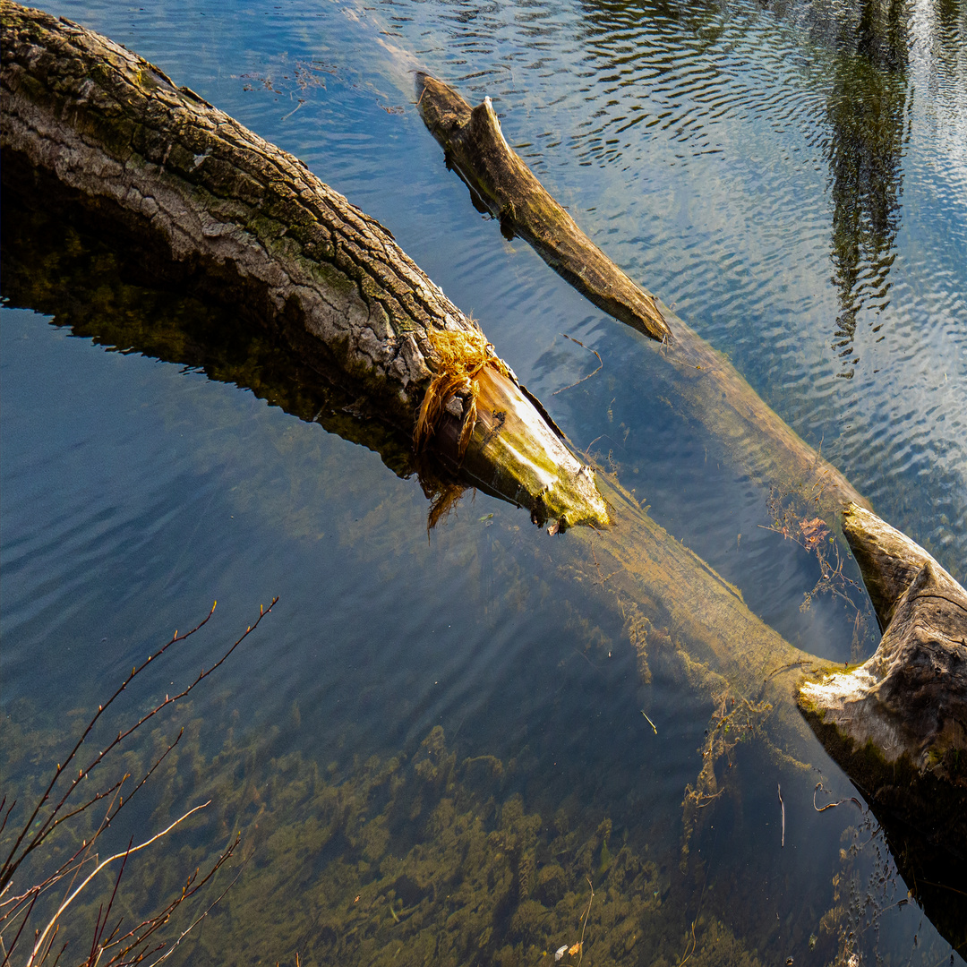 zum teil unter wasser...