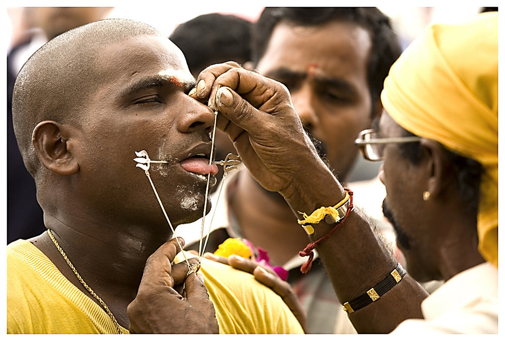 zum Thaipusamfest  ...