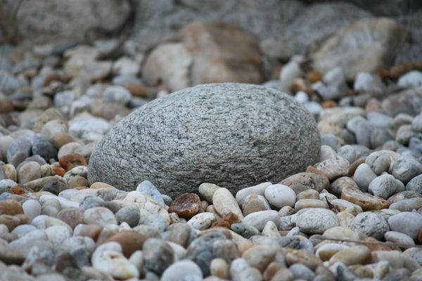 Zum Thema "Aus der Käferperspektive gesehen"